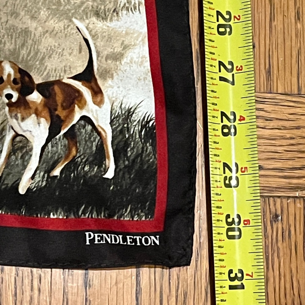 Pendleton Scarf - image 4